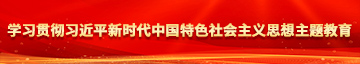 免费操逼网站外网学习贯彻习近平新时代中国特色社会主义思想主题教育