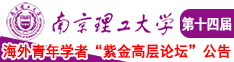 人逼影院南京理工大学第十四届海外青年学者紫金论坛诚邀海内外英才！